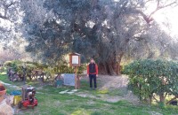 Giovani che scelgono di restare in Sabina. La storia di Simone